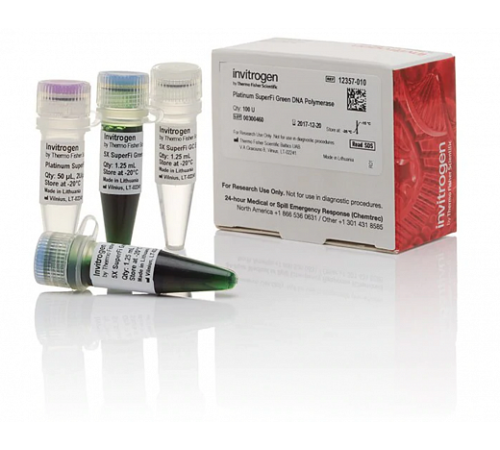 ДНК-полимераза Platinum SuperFi Green DNA Polymerase, Thermo FS ДНК-полимераза Platinum SuperFi Green DNA Polymerase, Thermo FS