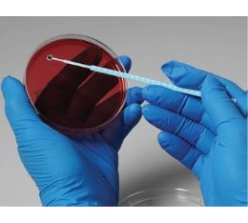Acinetobacter species, штамм ATCC 49137, 5 петель, Сulti-Loops, Thermo FS Acinetobacter species, штамм ATCC 49137, 5 петель, Сulti-Loops, Thermo FS