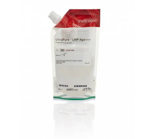 Агароза легкоплавкая/Low Melting Point Agarose, UltraPure, Thermo FS Агароза легкоплавкая/Low Melting Point Agarose, UltraPure, Thermo FS