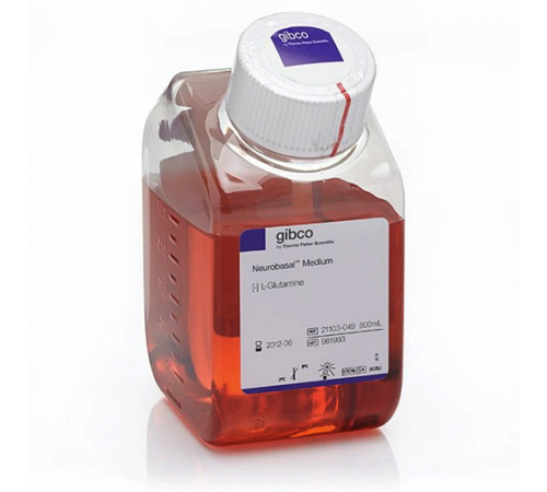 Среда Neurobasal, без животных компонентов, без глутамина, с феноловым красным, Thermo FS Среда Neurobasal, без животных компонентов, без глутамина, с феноловым красным, Thermo FS