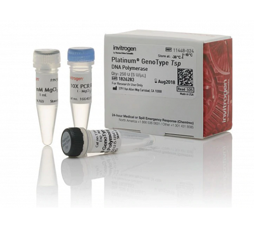 ДНК-полимераза Platinum GenoType Tsp DNA Polymerase, Thermo FS ДНК-полимераза Platinum GenoType Tsp DNA Polymerase, Thermo FS