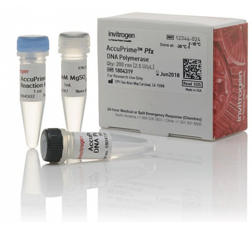 ДНК-полимераза AccuPrime Pfx DNA Polymerase, Thermo FS ДНК-полимераза AccuPrime Pfx DNA Polymerase, Thermo FS